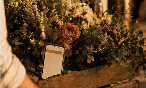 Una caja de flores frescas con un teléfono apoyado en el borde, luz dorada del atardecer